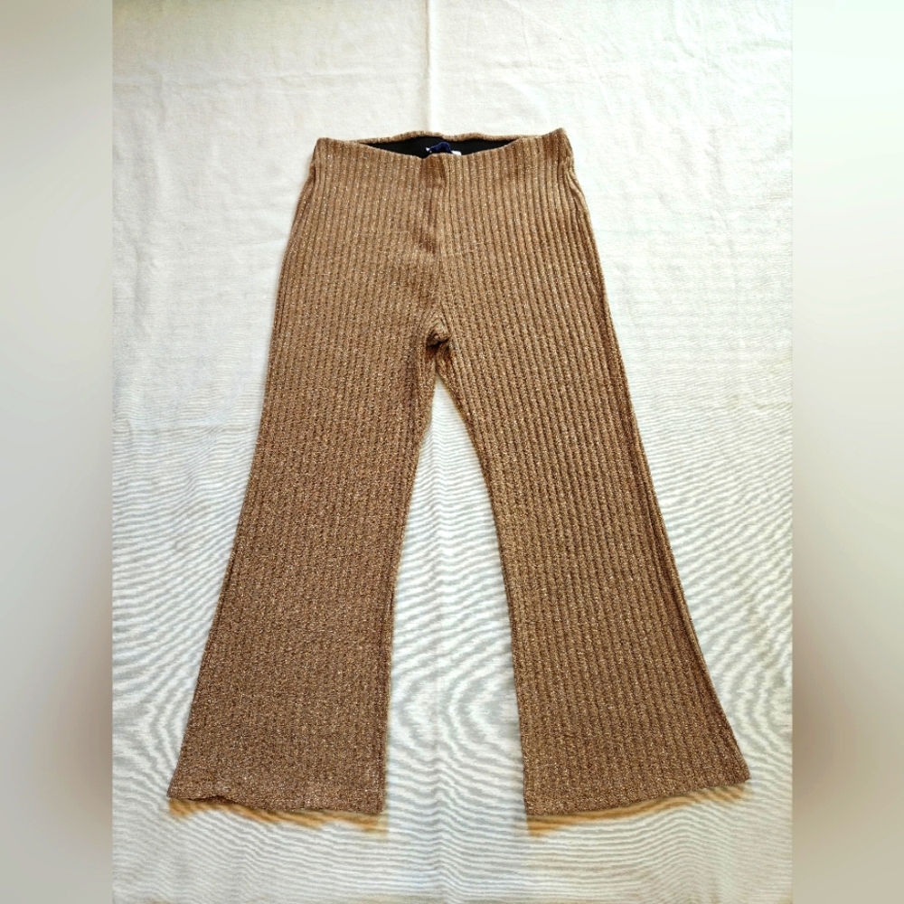 Zara Tan Ribbed Metallic Pants - Picture 1 of 7